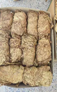 تنباکو برازجانی
