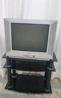 تلویزیون