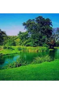 ادیت با کیفیت و سریع