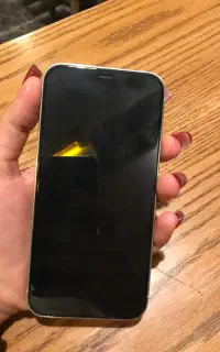 12 pro