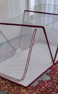 پشه بندتاشو