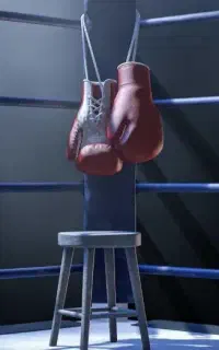 امورزش بوکس.مپی تای.دفاع شخصی .فیتنس.تناسب اندام