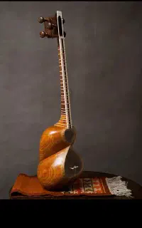 نیازمند نوازنده تار جهت همکاری هنری