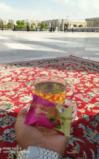 سفر ده روزه محرم مشهد مقدس