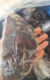 فروش خرمای خونگی