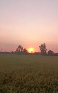کار کشاورزی در استان کرمانشاه
