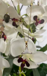 گردنبند دم وال