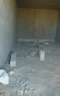 لاستر کار سالمی