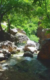 فروش آجر گری از سره  کوره