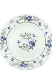 پیش دستی آرکوپال