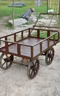 گاری سالم
