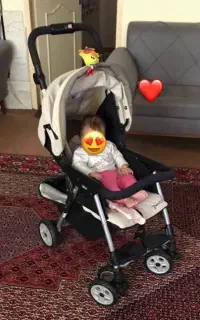 کالسکه چیکو