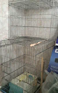 قفس پرنده