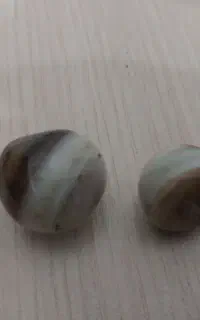 دو عدد مهره دوقلو سنگ سلیمانی