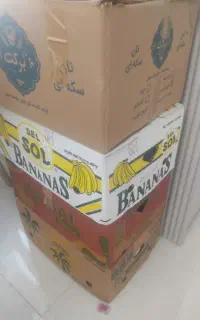 کاتن موزی
