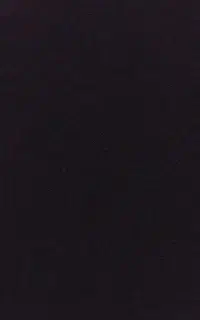 کسب درآمد حرفه ای