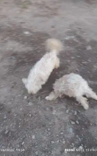 فروش