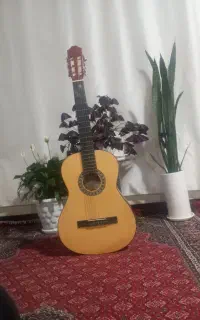 گیتار گود من آلمان حرفه ای