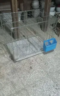 قفس تاشو جفت کن کبوتر
