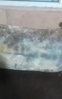 پنیر گوسفند موتال