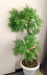 درختچه مصنوعی