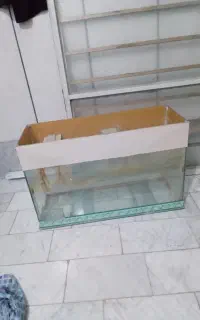 آکواریوم سالم