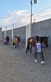 آموزش سوارکاری اسب سواری در تاکستان برای تمام سنین