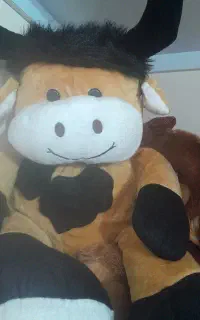 عروسک بزرگ و کوچک
