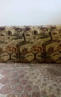 پشتی