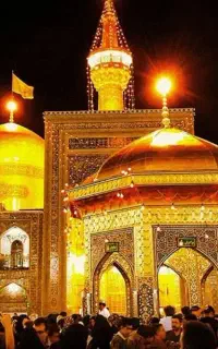 ارزان سفرتپرمشهدبدون پول پیش