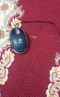 موس با سیم