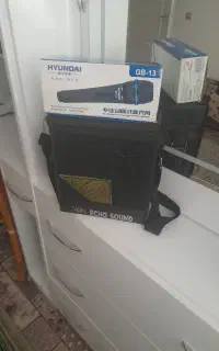 اکو قابل حمل همراه با میکروفون فلش خور