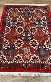 ذرع نیم بختیاری