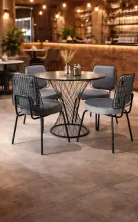 صندلی ناهارخوری پلاستیکی Dora 99001/گلشهر