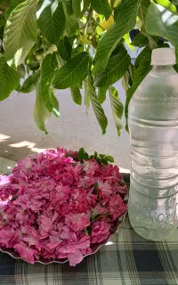 سرکه ی محلی گلاب  رب خانگی