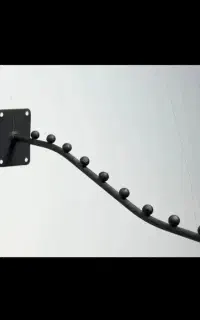 رگال تیله امیدیه