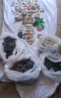 شن وسنگ اکواریوم