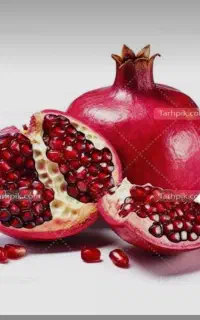 تور یکروزه بانوان به جشنواره انار اوشتبین