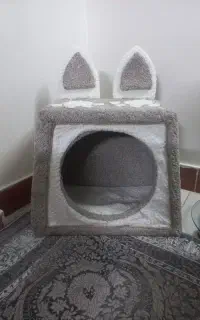 جا خواب گربه