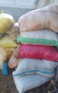 پشم گوسفند