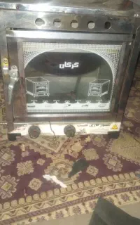 خرگوش لپی
