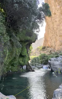 آموزش شنا فقط در یک جلسه (فقط با یک میلیون تومن)