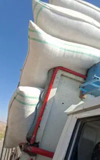 کاه گندم وجو ولوبیا
