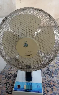 پنکه