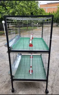 قفس طبقاتی مرغ وجوجه