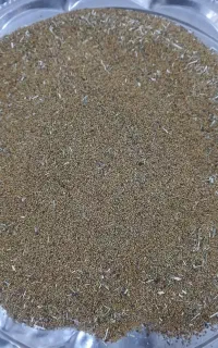 بذر یونجه امسال