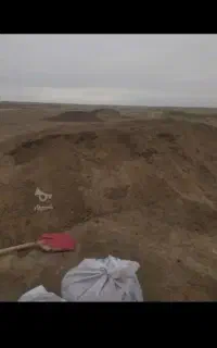 کود
