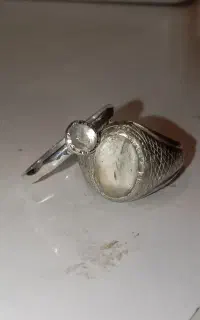 یک جفت نر و ماده در نجف قدیمی