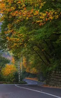 خودرو شخصی