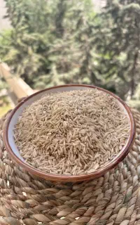برنج قهوه ای رژیمی شیده